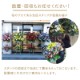 �ե�������ɡʥ��󥵡��ȡ��饤�֡�ȯɽ���ѥ���������֡� [���Ϥ���ǽ���ꥢ��˭���ԡ��;���]