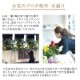 �ե�������ɡʥ��󥵡��ȡ��饤�֡�ȯɽ���ѥ���������֡� [���Ϥ���ǽ���ꥢ��˭���ԡ��;���]