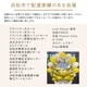 �ե�������ɡʥ��󥵡��ȡ��饤�֡�ȯɽ���ѥ���������֡� [���Ϥ���ǽ���ꥢ��˭���ԡ��;���]
