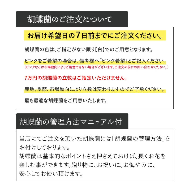 ĳ򡦥ԥ󥯡 [Ϥǽꥢ˭ԡ;]