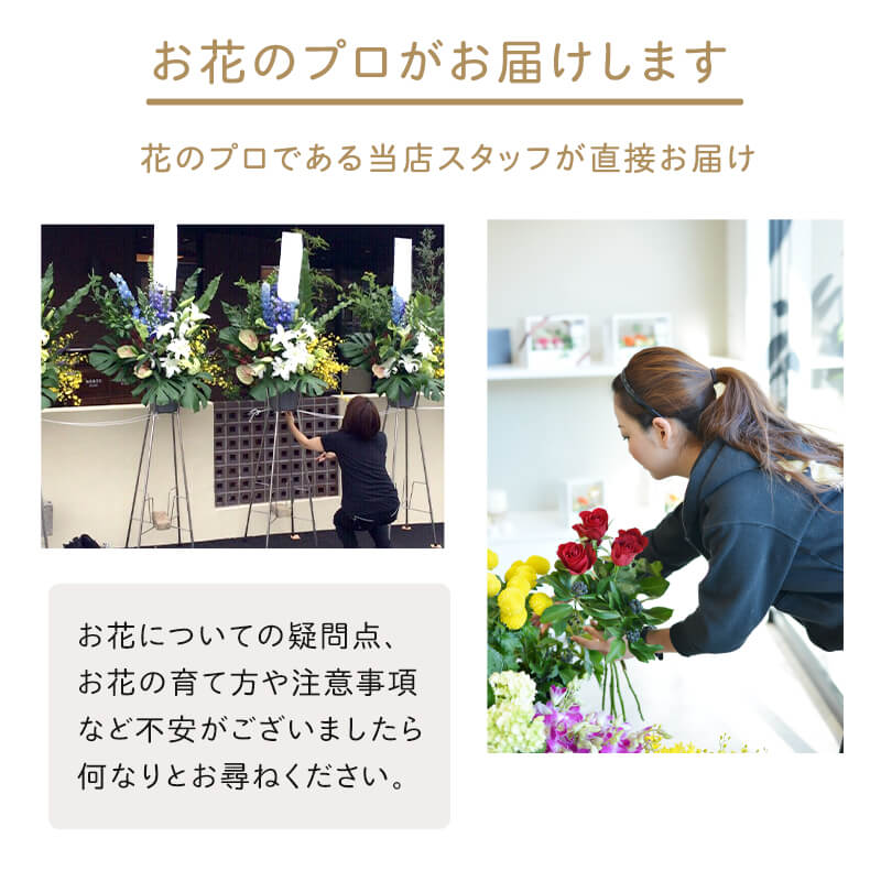 ĳ򡦥ԥ󥯡 [Ϥǽꥢ˭ԡ;]