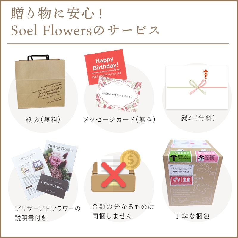 ������������ǽ������̵���� ���塼�֥���󥸥��� �ʥץꥶ���֥ɥե���