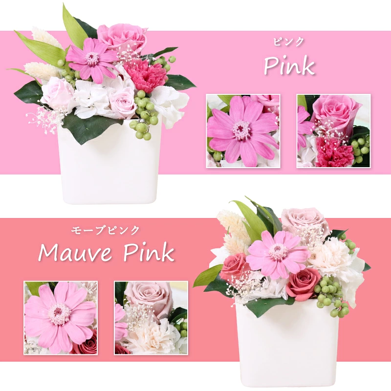 ������������ǽ������̵���� ���塼�֥���󥸥��� �ʥץꥶ���֥ɥե���