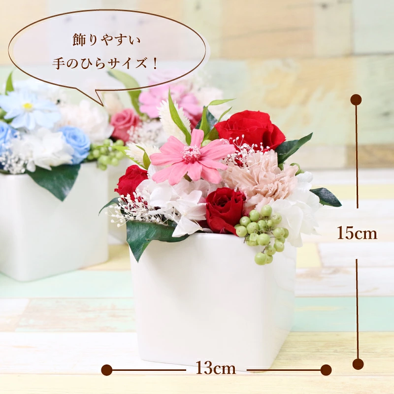 ������������ǽ������̵���� ���塼�֥���󥸥��� �ʥץꥶ���֥ɥե���