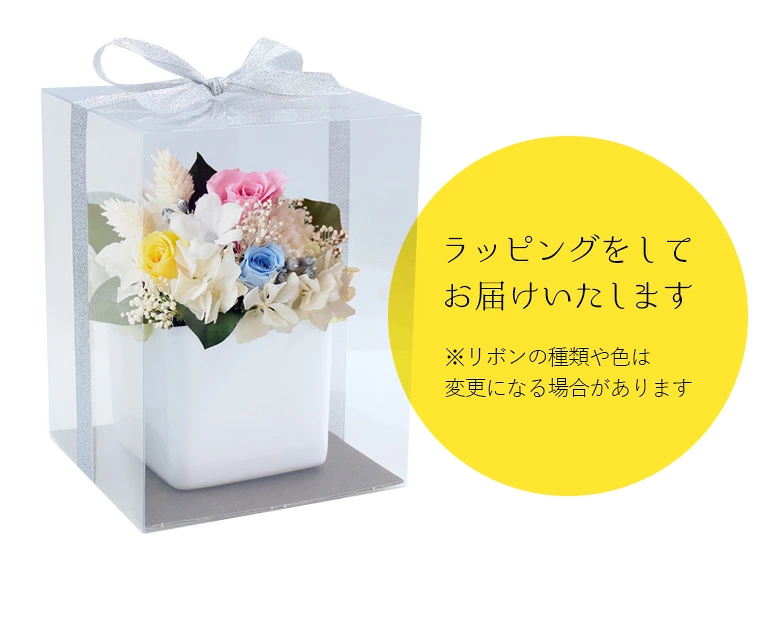 ������������ǽ������̵���� ���塼�֥���󥸥��� �ʥץꥶ���֥ɥե���