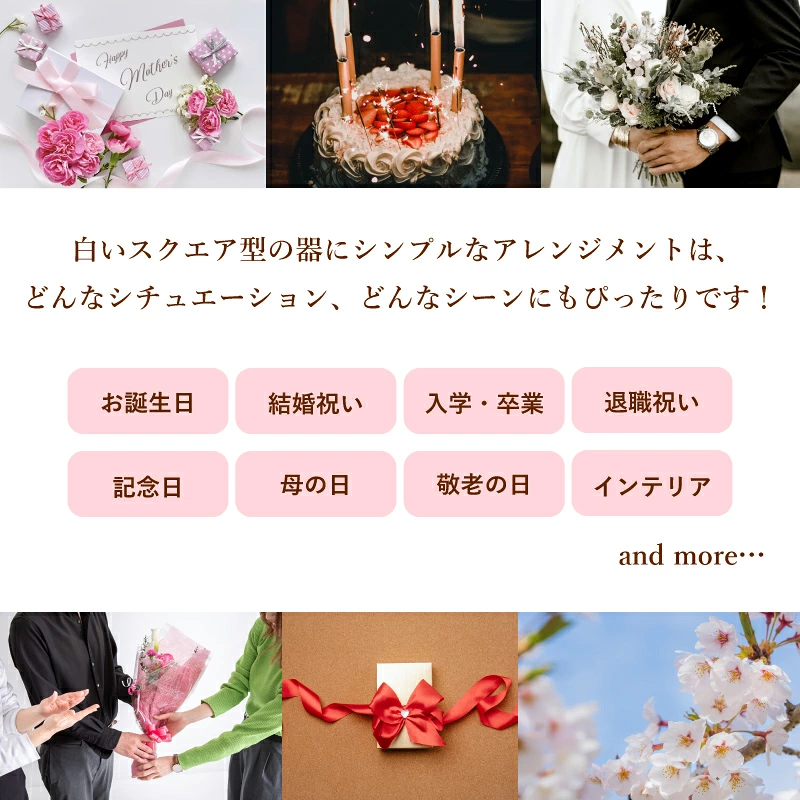 ������������ǽ������̵���� ���塼�֥���󥸥��� �ʥץꥶ���֥ɥե���