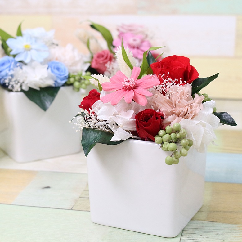 ������������ǽ������̵���� ���塼�֥���󥸥��� �ʥץꥶ���֥ɥե���