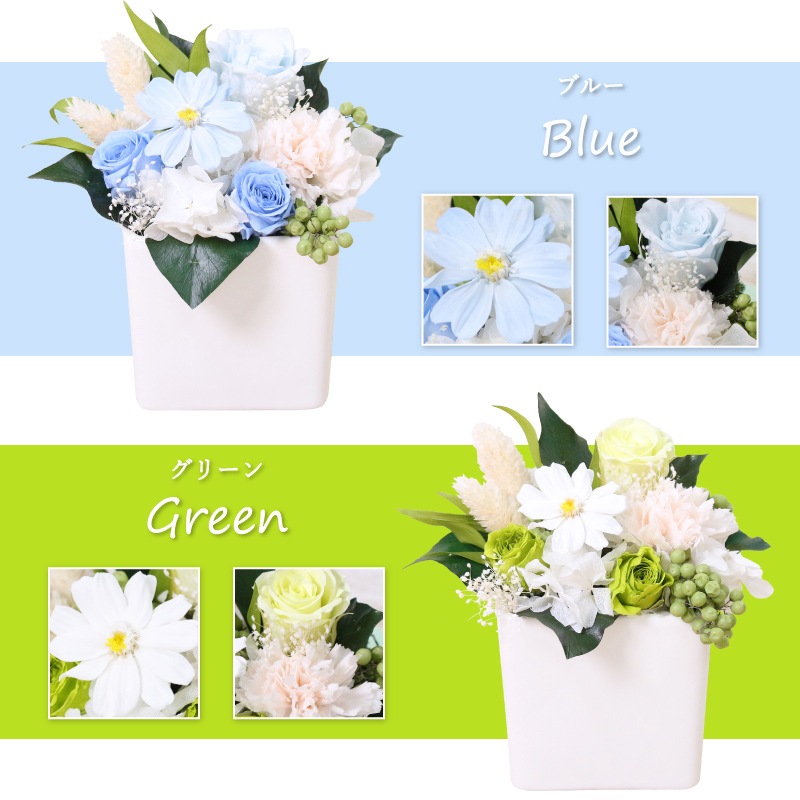 ������������ǽ������̵���� ���塼�֥���󥸥��� �ʥץꥶ���֥ɥե���