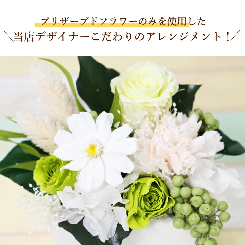 ������������ǽ������̵���� ���塼�֥���󥸥��� �ʥץꥶ���֥ɥե���