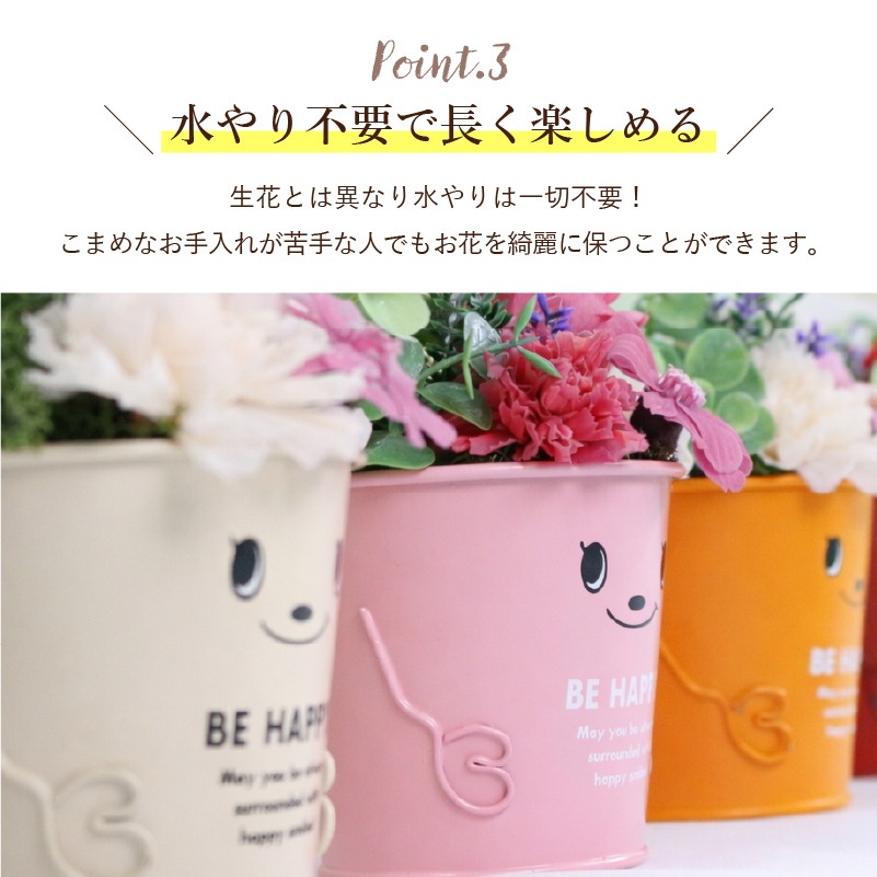������������ǽ������̵���� �֥ꥭ���åץ���󥸥��ȡʥץꥶ���֥ɥե���