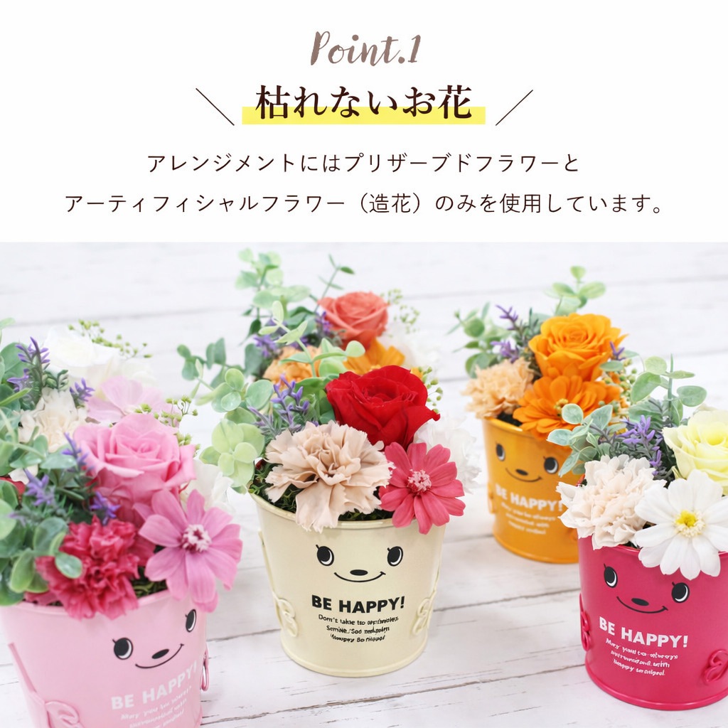 ������������ǽ������̵���� �֥ꥭ���åץ���󥸥��ȡʥץꥶ���֥ɥե���