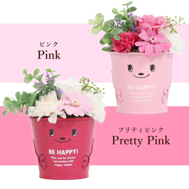 ������������ǽ������̵���� �֥ꥭ���åץ���󥸥��ȡʥץꥶ���֥ɥե���
