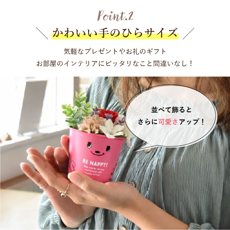 ������������ǽ������̵���� �֥ꥭ���åץ���󥸥��ȡʥץꥶ���֥ɥե���