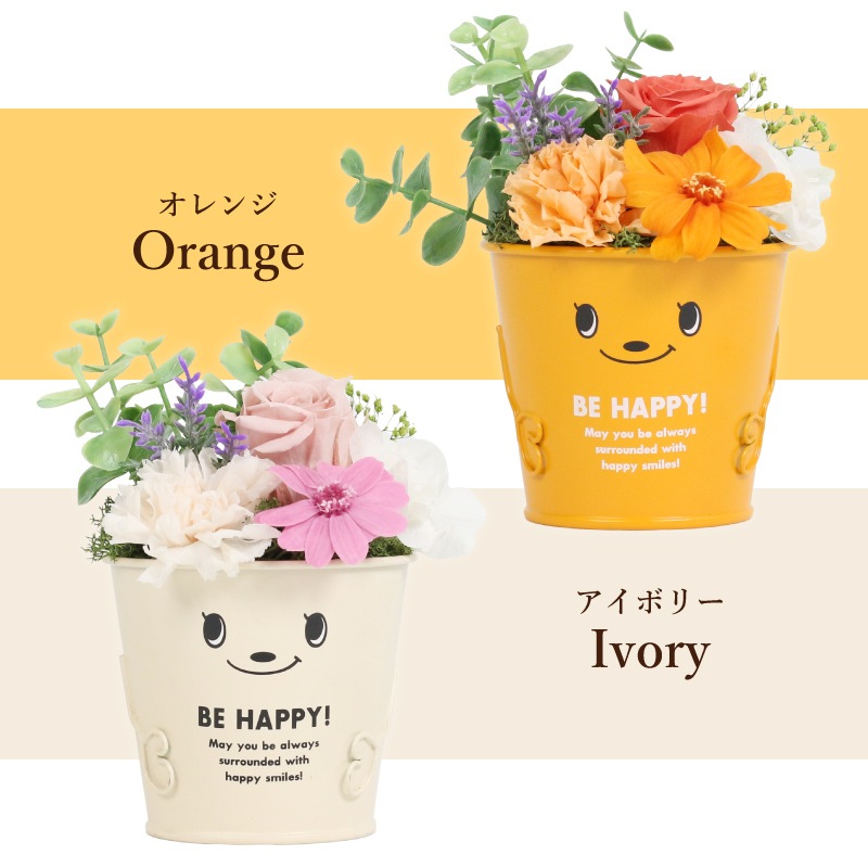 ������������ǽ������̵���� �֥ꥭ���åץ���󥸥��ȡʥץꥶ���֥ɥե���