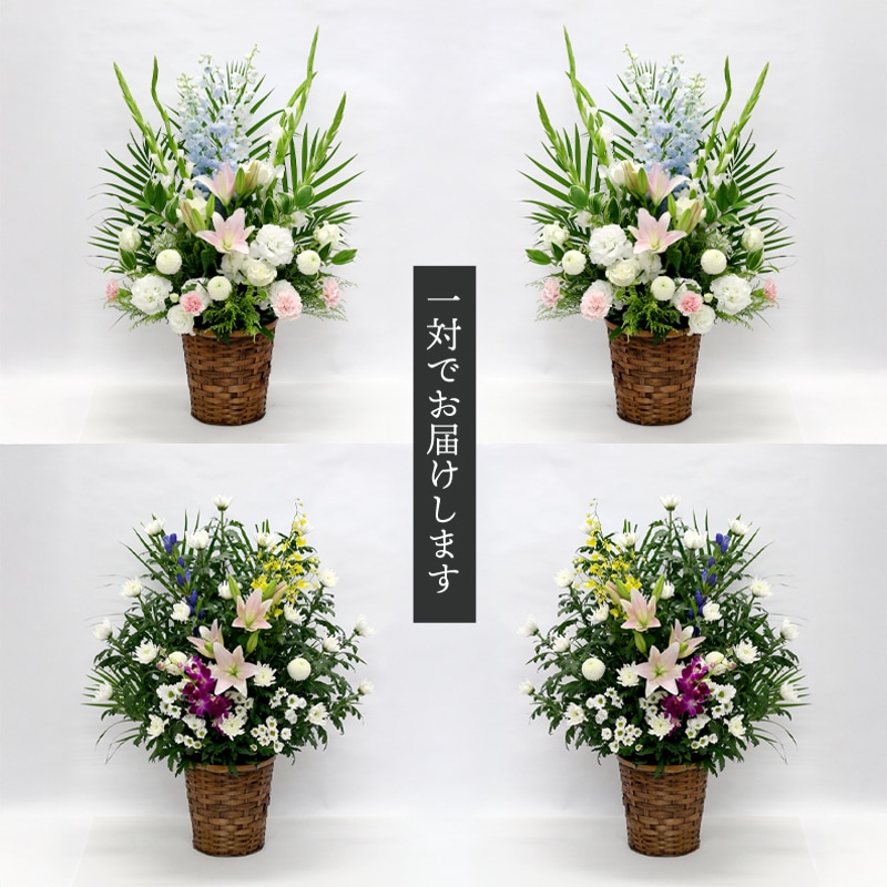 ���ߡ����ߡ����ߤΤ������֡��߶��Τ��֡ˡ�1�С�2�ĥ��åȡˡۡο��̸��ꡧ����դ����ʡϡڤ��Ϥ���ǽ���ꥢ���;��԰����ϰ��