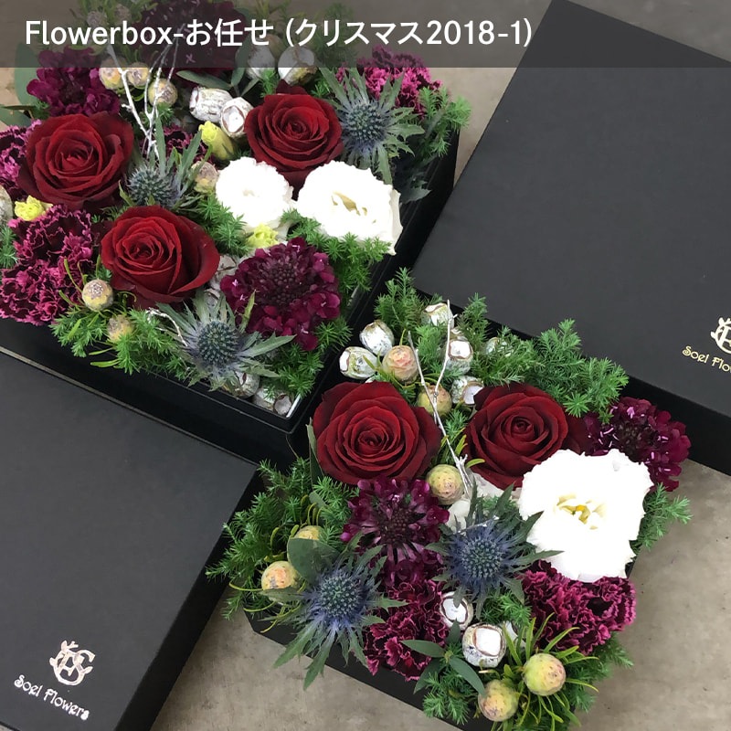 ȯ̡֤ۤäȤĤޤä եܥåL