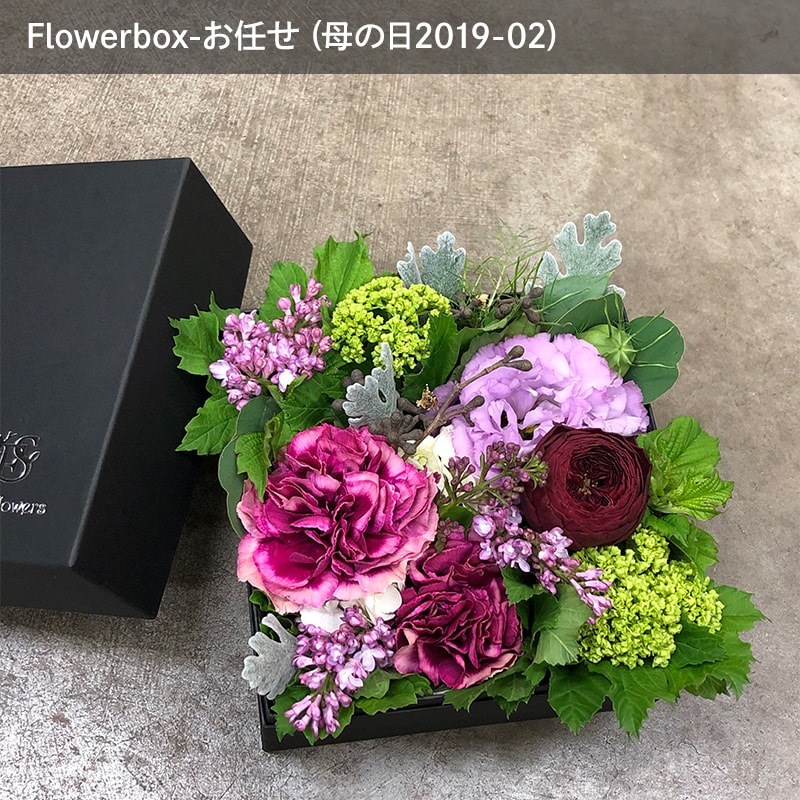 ȯ̡֤ۤäȤĤޤä եܥåL