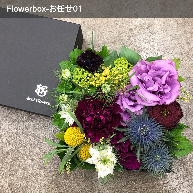 ȯ̡֤ۤäȤĤޤä եܥåL