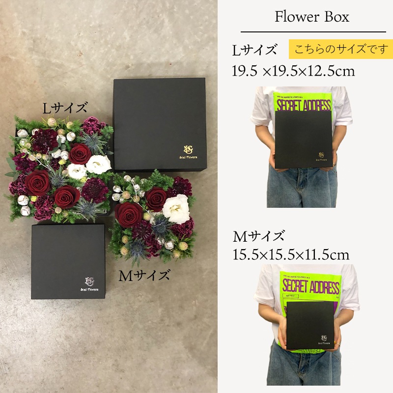 ȯ̡֤ۤäȤĤޤä եܥåL