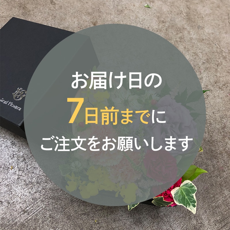 ȯ̡֤ۤäȤĤޤä եܥåL