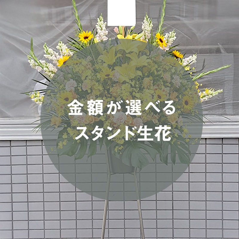 ۤ٤륹 [Ϥǽꥢ˭ԡ;]