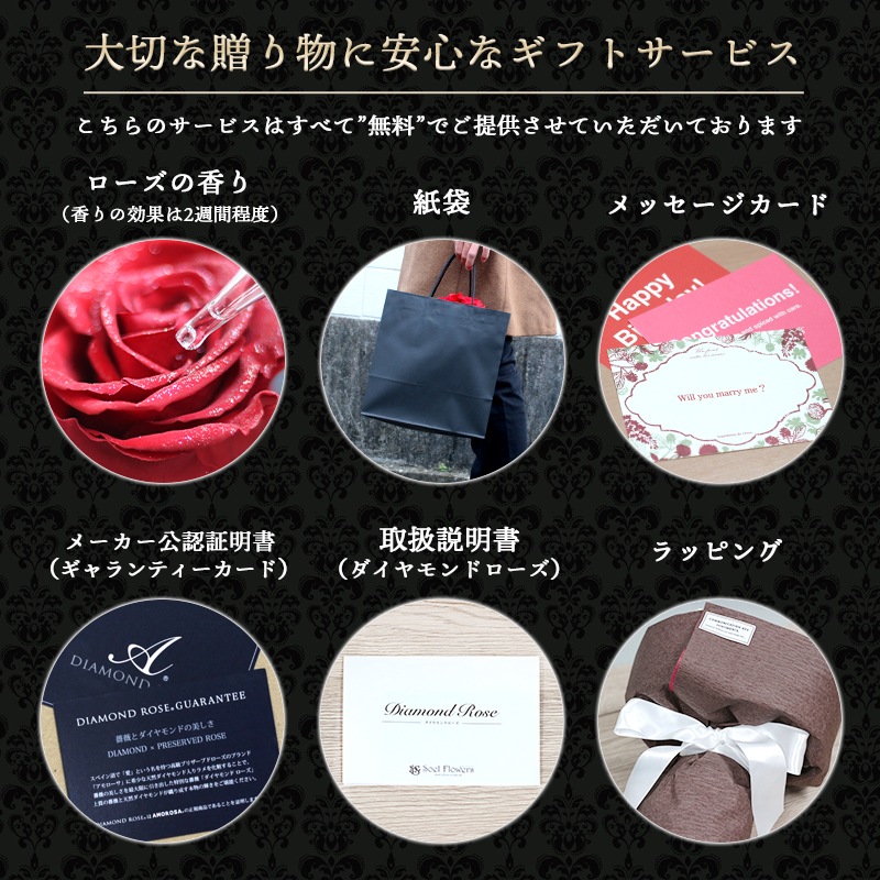 ǽ̵ 12ܤΥХβ« ʥץꥶ֥ɥե