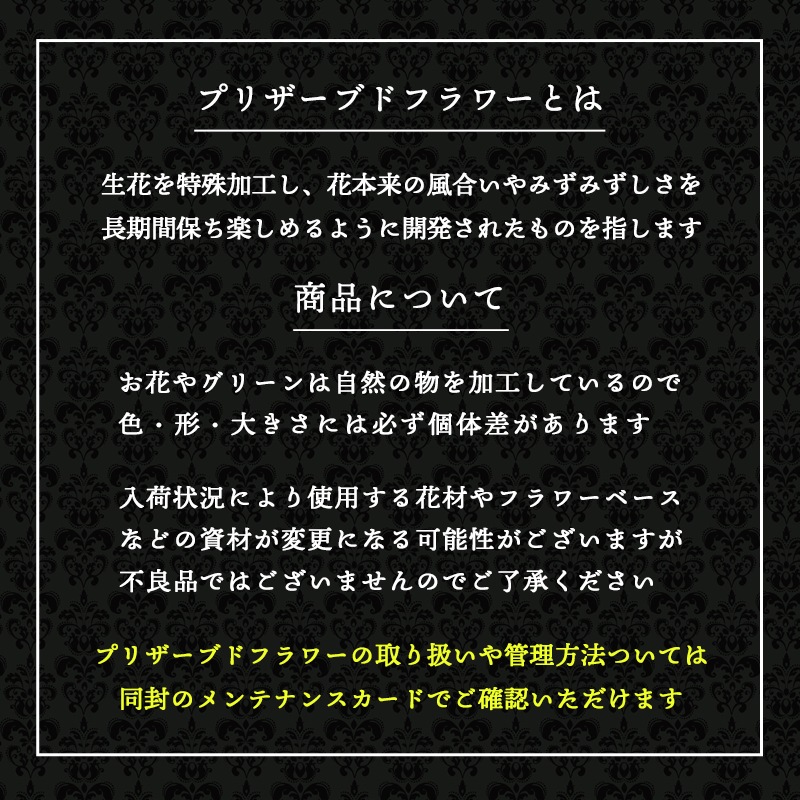 ǽ̵ 12ܤΥХβ« ʥץꥶ֥ɥե