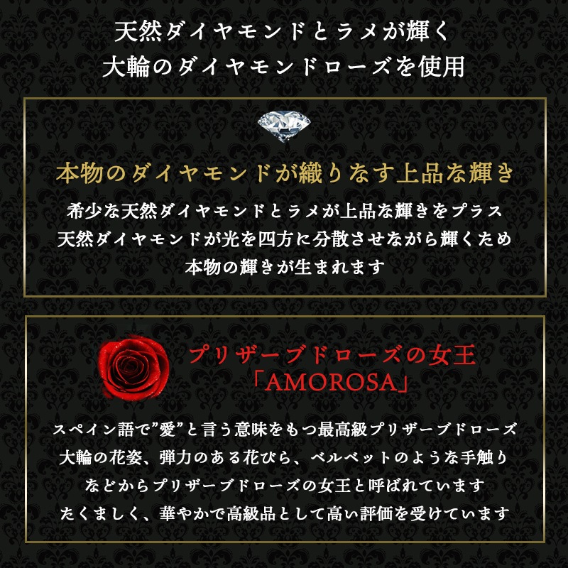 ǽ̵ 12ܤΥХβ« ʥץꥶ֥ɥե