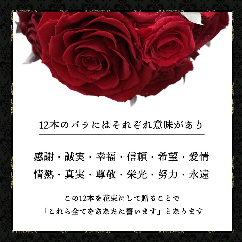 ǽ̵ 12ܤΥХβ« ʥץꥶ֥ɥե