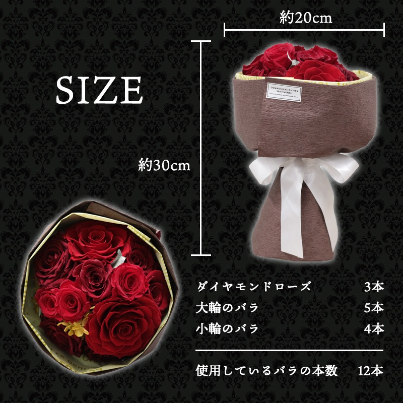 ǽ̵ 12ܤΥХβ« ʥץꥶ֥ɥե