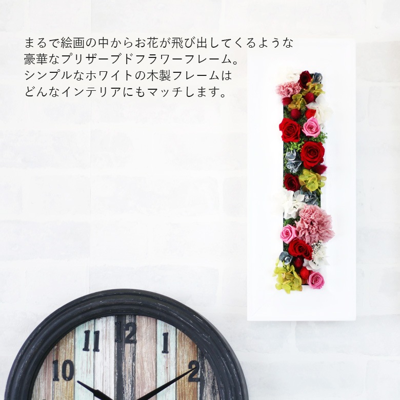 ������������ǽ������̵���� ���åɥե졼�� - Long - �ʥץꥶ���֥ɥե���