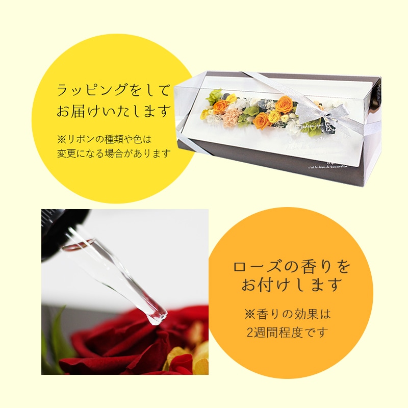 ������������ǽ������̵���� ���åɥե졼�� - Long - �ʥץꥶ���֥ɥե���