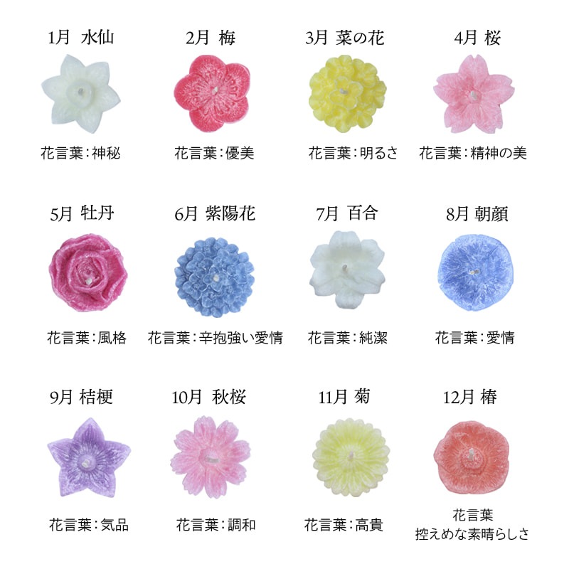 ǽ̵  ֤Ť - եƥ󥰥ɥ -