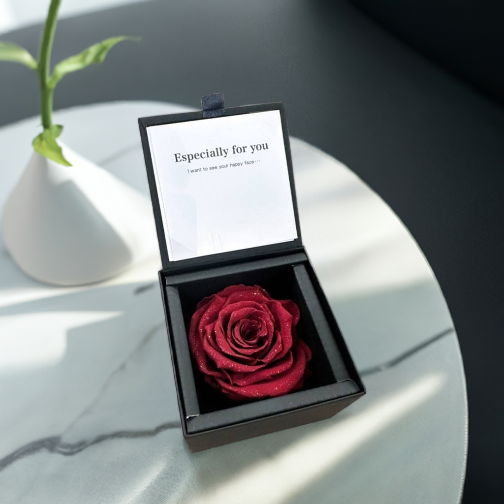 ǽ̵ ɥ [M] ץꥶ֥ɥե