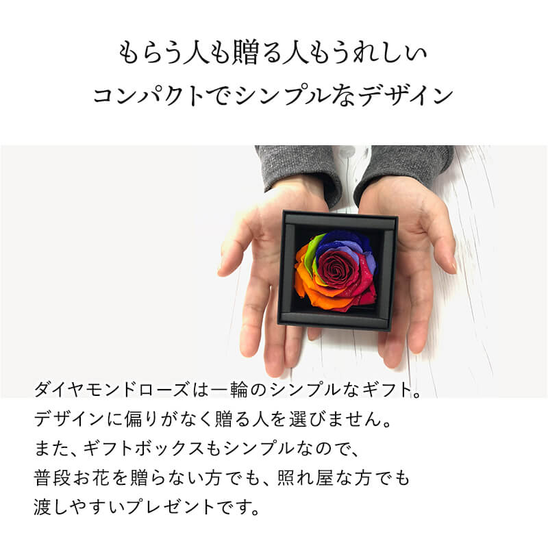 ǽ̵ ɥ [M] ץꥶ֥ɥե