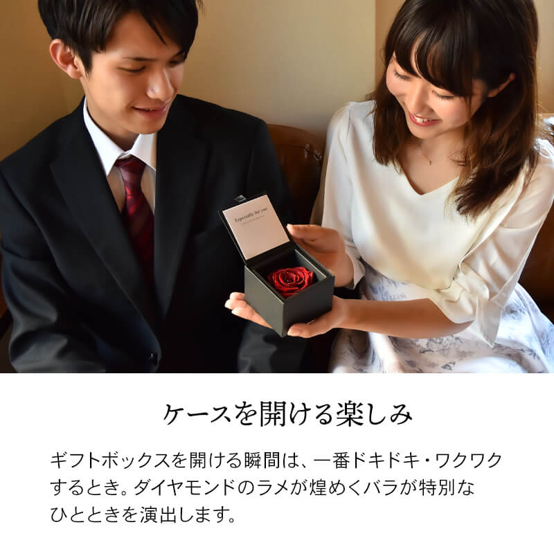 ǽ̵ ɥ [M] ץꥶ֥ɥե