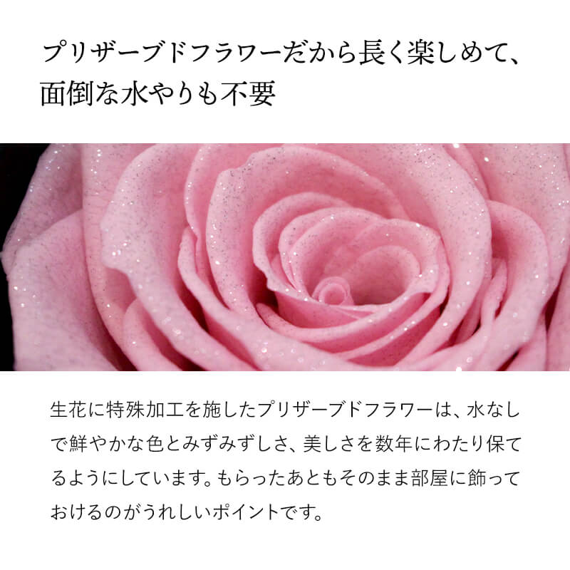 ǽ̵ ɥ [M] ץꥶ֥ɥե