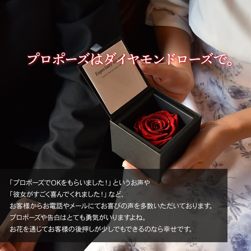 ǽ̵ ɥ [M] ץꥶ֥ɥե