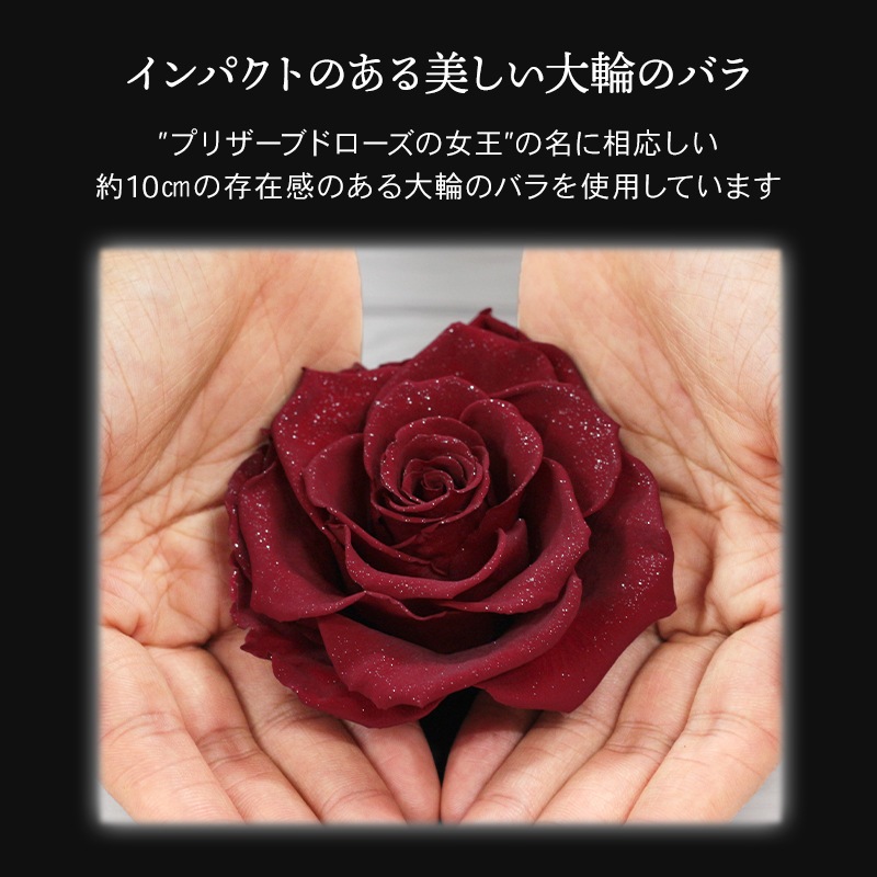 ������������ǽ������̵���� ��������ɥ����� [L�쥶��] �ץꥶ���֥ɥե�