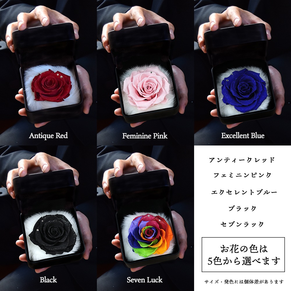 ������������ǽ������̵���� ��������ɥ����� [L�쥶��] �ץꥶ���֥ɥե�