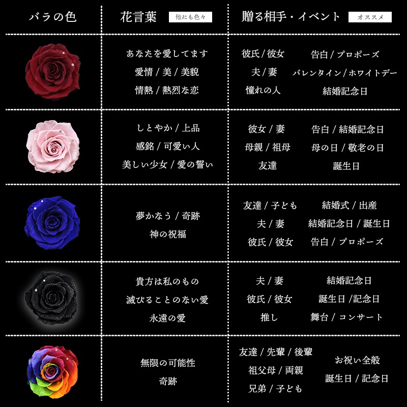 ������������ǽ������̵���� ��������ɥ����� [L�쥶��] �ץꥶ���֥ɥե�