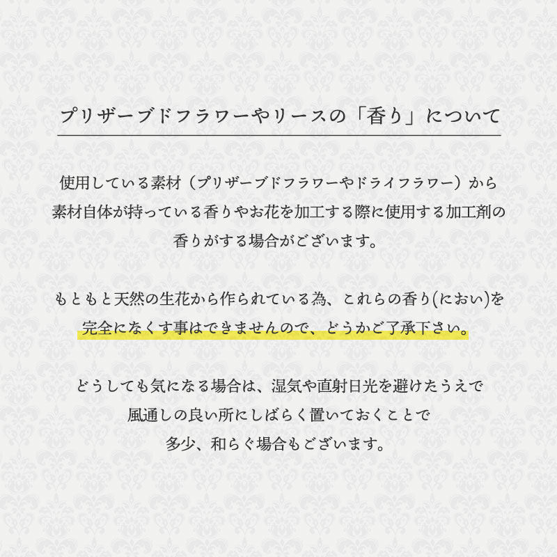 ������������ǽ������̵���� ��������ɥ����� [L�쥶��] �ץꥶ���֥ɥե�