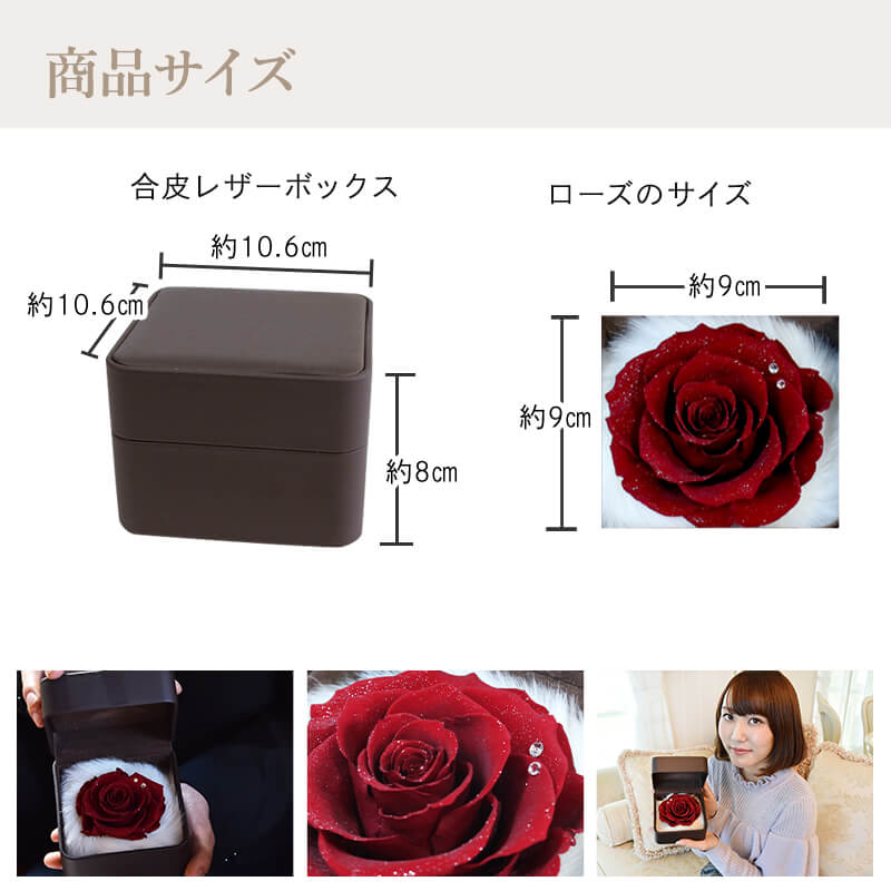 ������������ǽ������̵���� ��������ɥ����� [L�쥶��] �ץꥶ���֥ɥե�