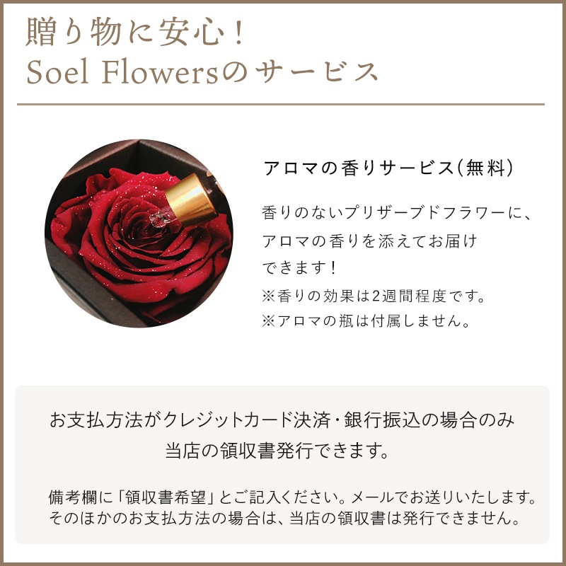 ������������ǽ������̵���� ��������ɥ����� [L�쥶��] �ץꥶ���֥ɥե�