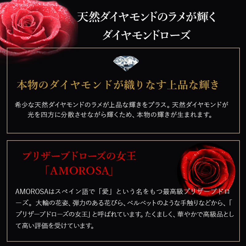 ������������ǽ������̵���� ��������ɥ����� [L�쥶��] �ץꥶ���֥ɥե�