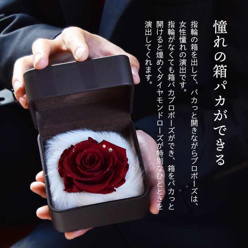 ������������ǽ������̵���� ��������ɥ����� [L�쥶��] �ץꥶ���֥ɥե�