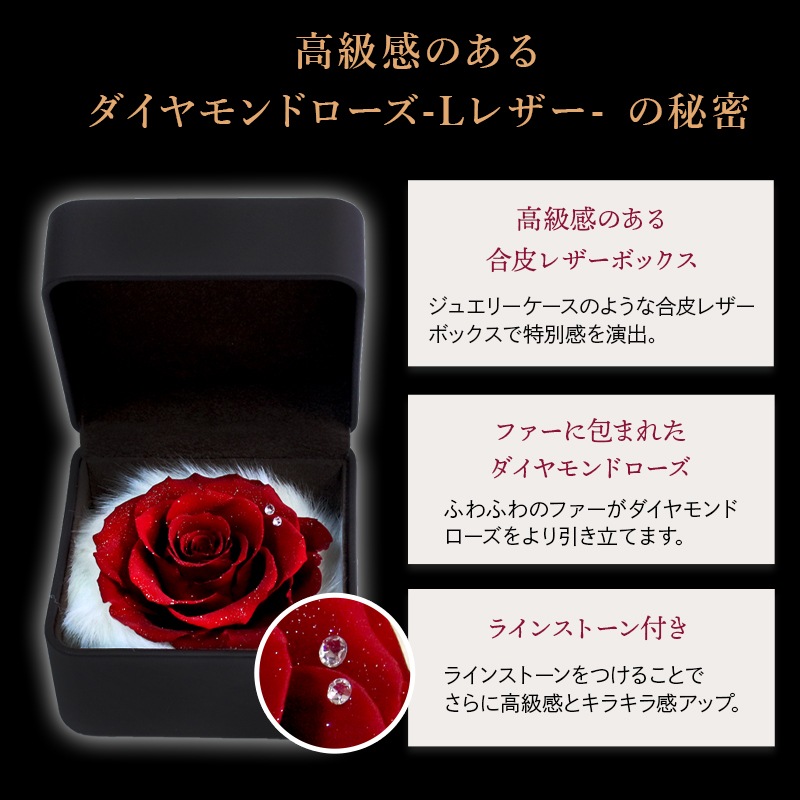 ������������ǽ������̵���� ��������ɥ����� [L�쥶��] �ץꥶ���֥ɥե�