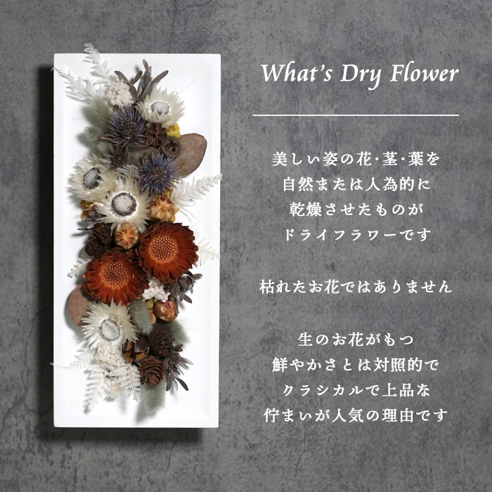 ������������ǽ������̵����  �ɥ饤�ե����åɥե졼��