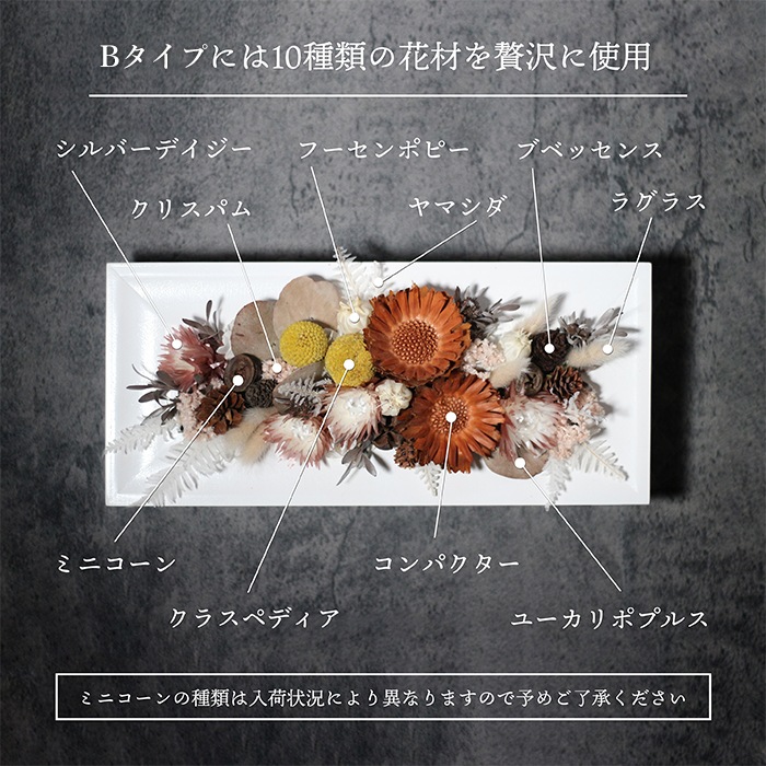 ������������ǽ������̵����  �ɥ饤�ե����åɥե졼��