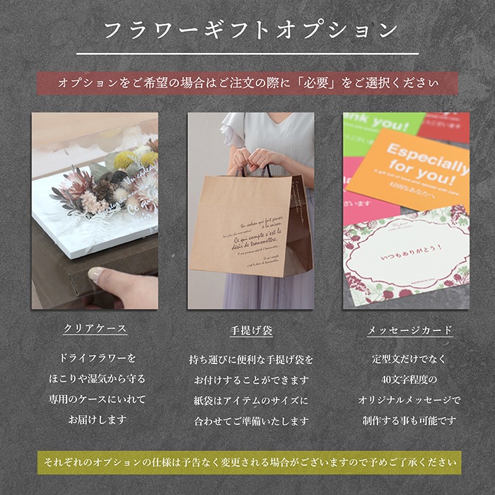 ������������ǽ������̵����  �ɥ饤�ե����åɥե졼��